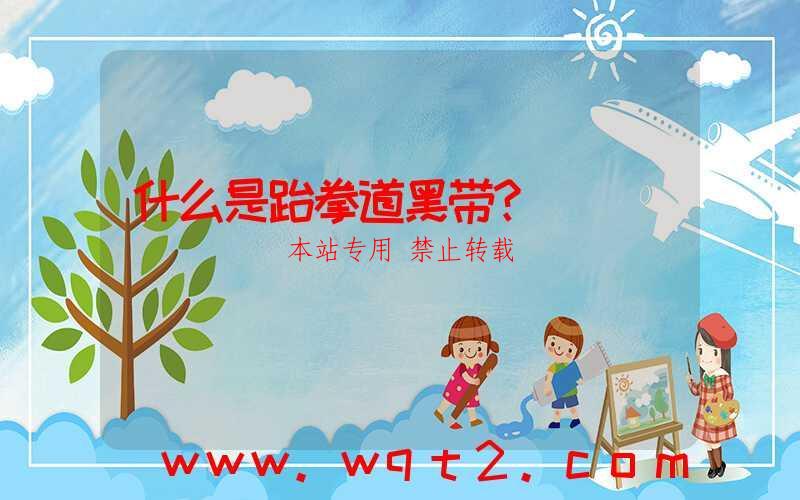 什么是跆拳道黑带？-第1张图片